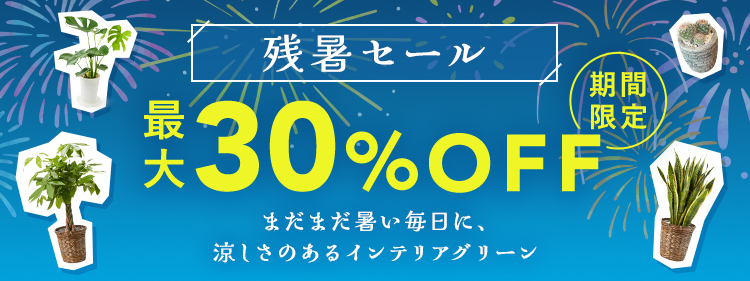 インテリアグリーン 残暑セール 期間限定 最大30%OFF