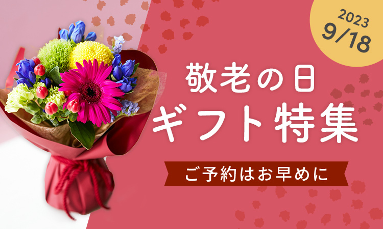 敬老の日ギフト特集