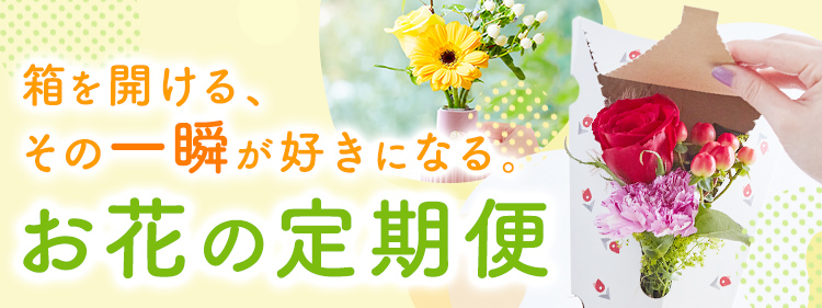 お花の定期便