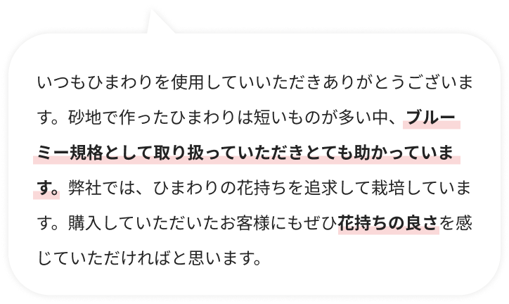 いつもひまわりを使用していいただきありがとうございます。砂地で作ったひまわりは短いものが多い中、ブルーミー規格として取り扱っていただきとても助かっています。弊社では、ひまわりの花持ちを追求して栽培しています。購入していただいたお客様にもぜひ花持ちの良さを感じていただければと思います。