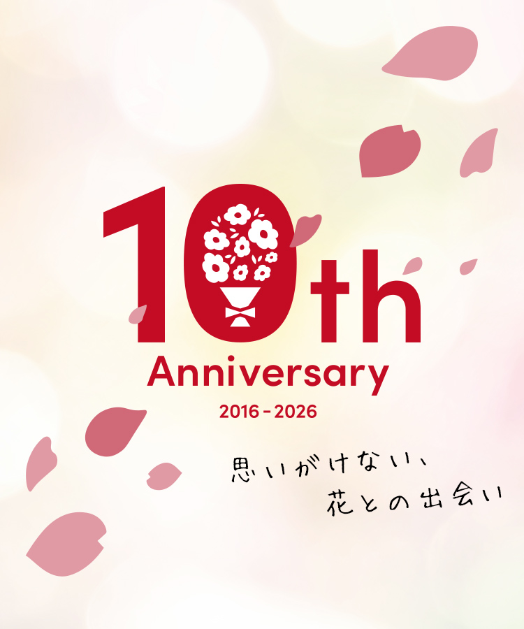 10周年記念ファーストビュー