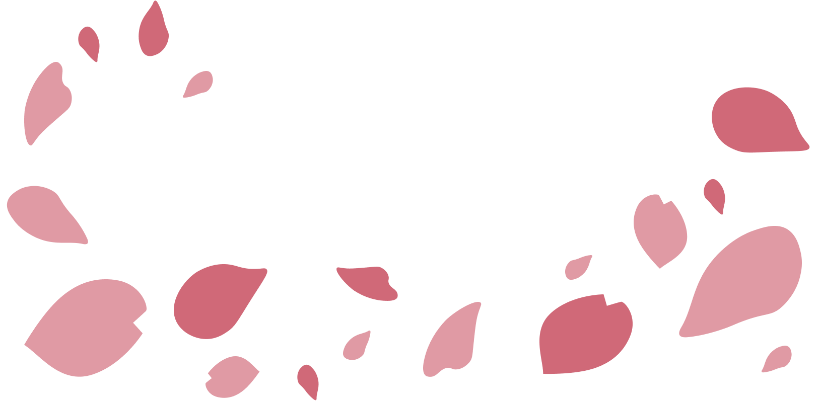 花吹雪デコレーション