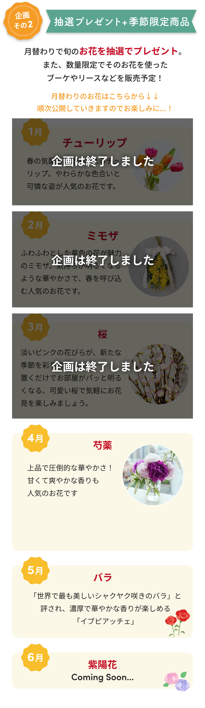 企画その2 抽選プレゼント+季節限定商品