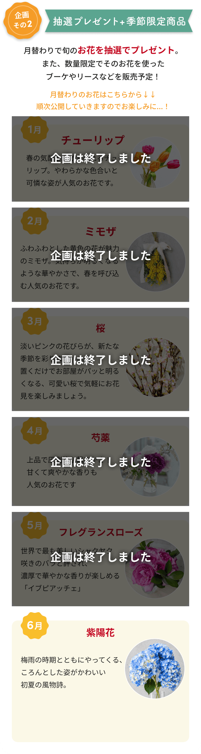 企画その2 抽選プレゼント+季節限定商品