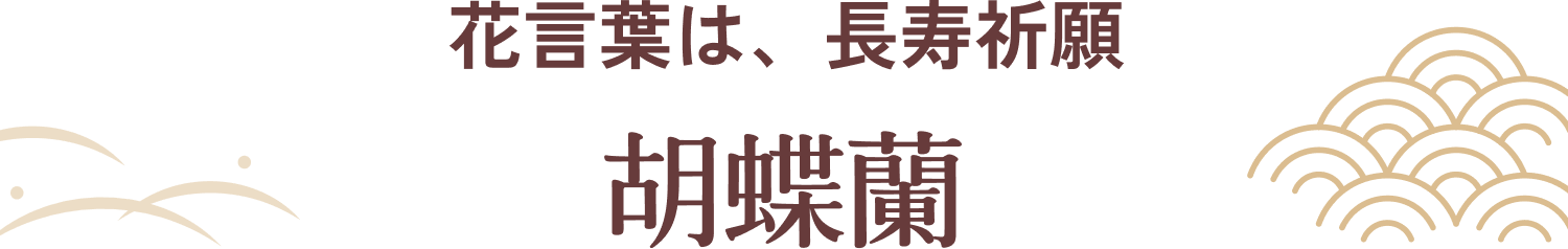 花言葉は、長寿祈願 胡蝶蘭