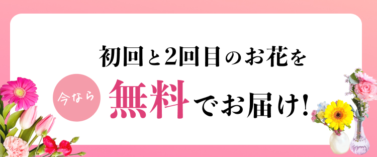 初回と2回目のお花を無料でお届け！