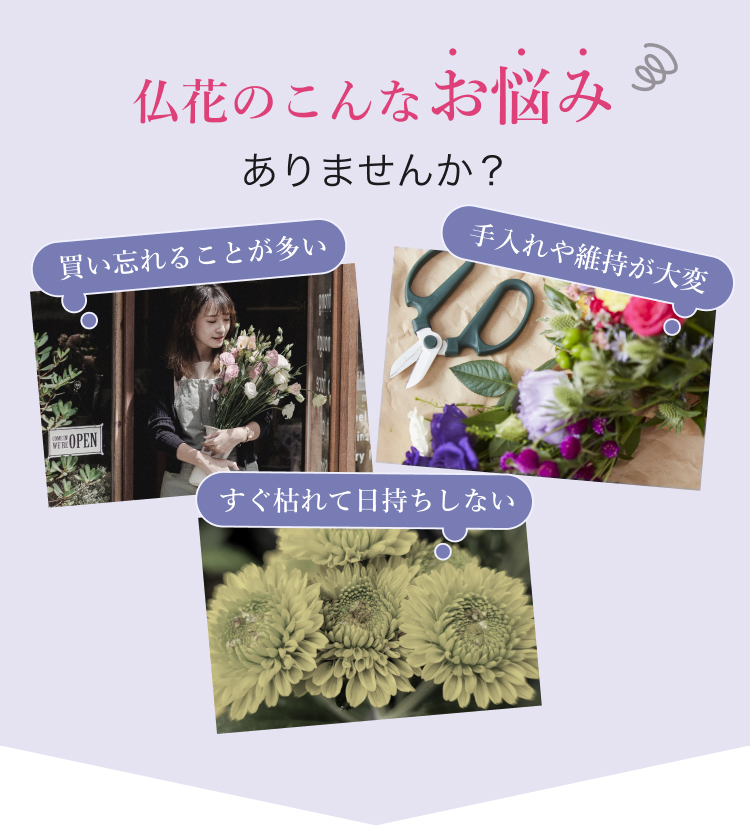 仏花のお悩み
