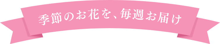 季節のお花を、毎週お届け