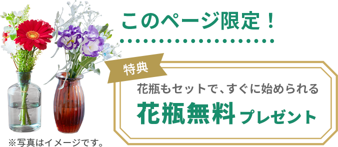 このページ限定特典プレゼント
