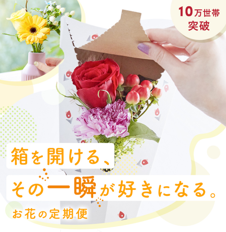 届くたび、元気をもらえる。お花の定期便・サブスク　ブルーミー（bloomee）