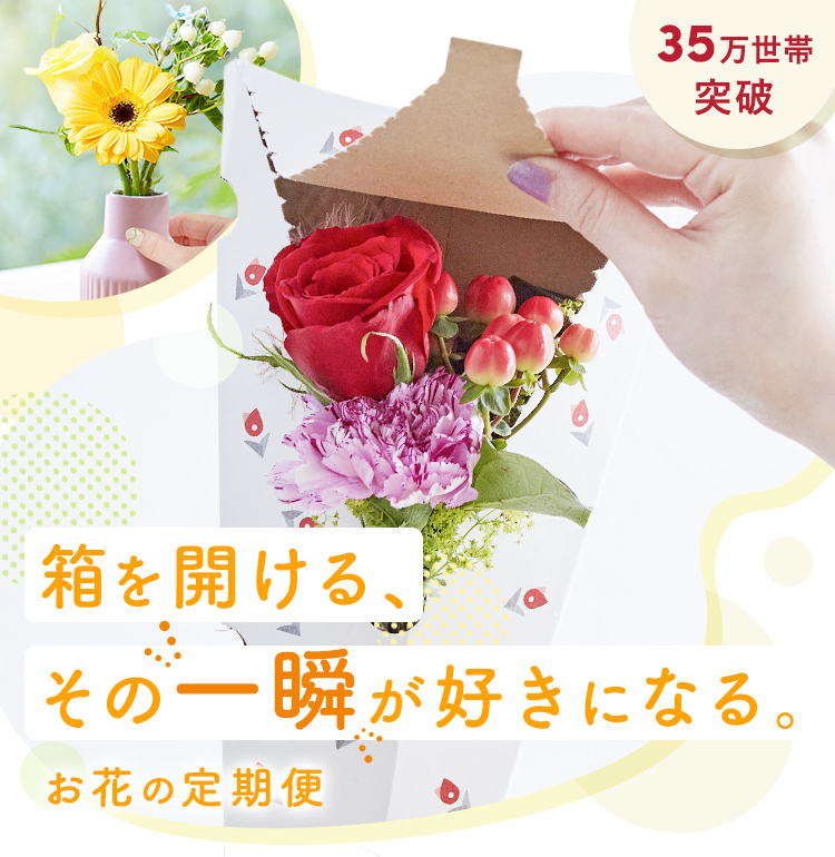 届くたび、元気をもらえる。お花の定期便・サブスク　ブルーミー（bloomee）