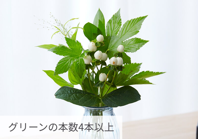 グリーンプラン