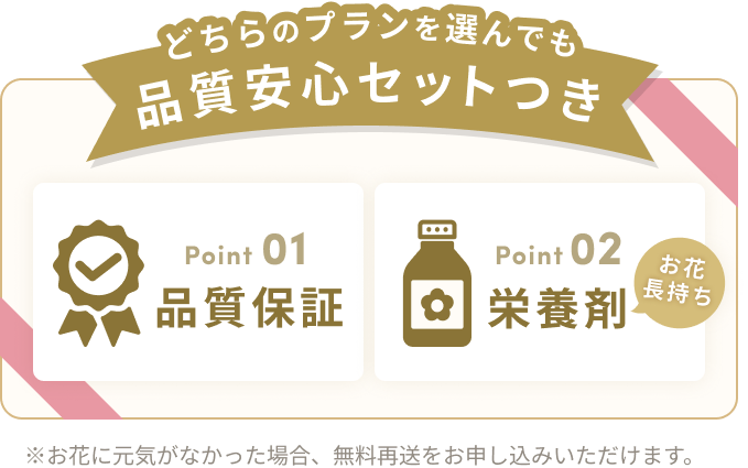 どちらのプランを選んでも品質安心セットつき