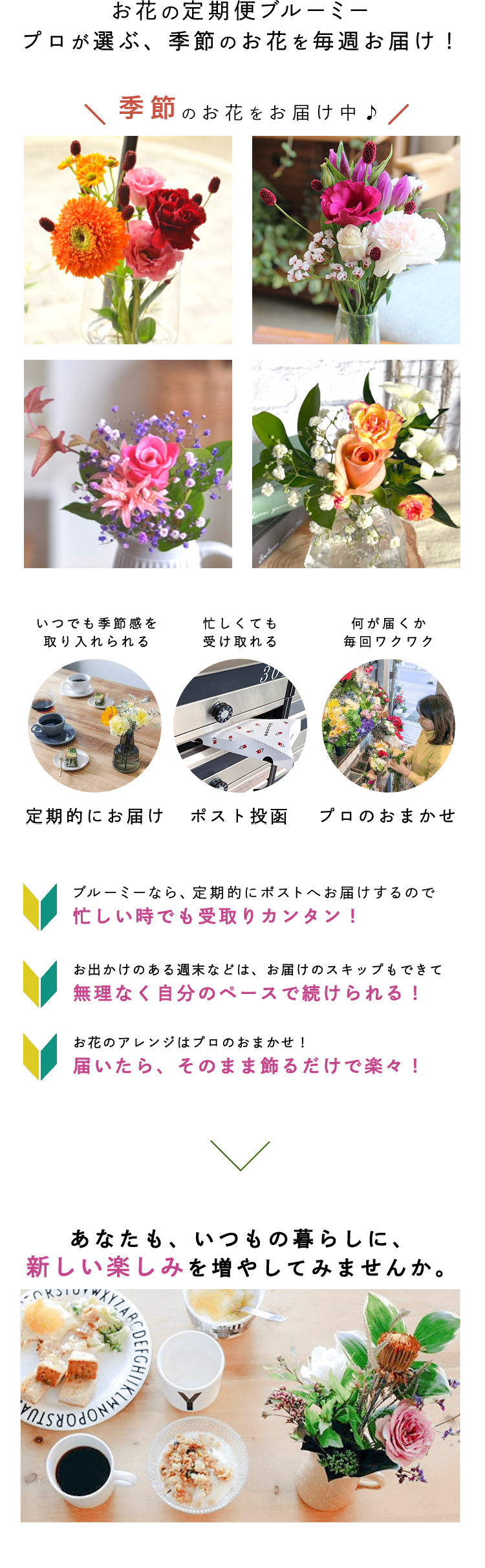 今なら初回無料クーポン付き!お花の定期便ブルーミー 季節のお花を毎週お届け