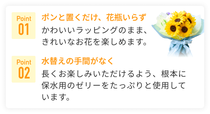 おすすめポイント