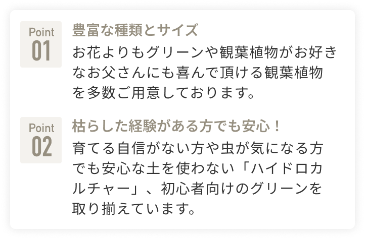 おすすめポイント