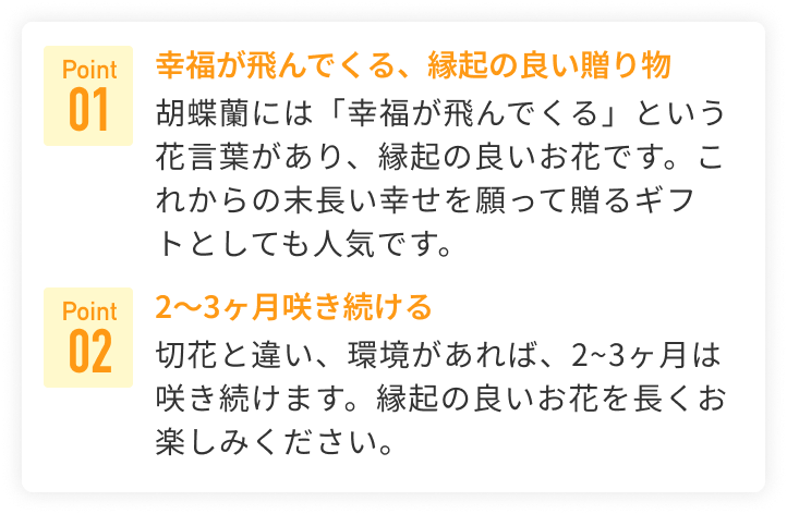 おすすめポイント