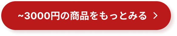 〜3,000円の商品をもっとみる