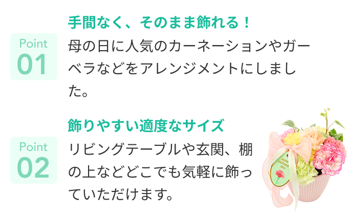 おすすめポイント