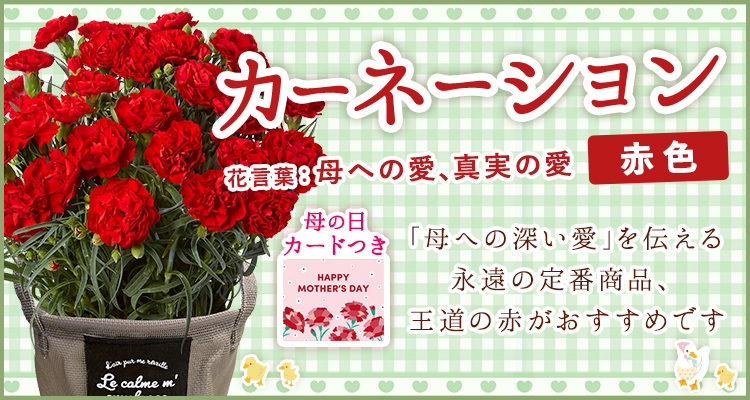 そのまま飾れるブーケ２