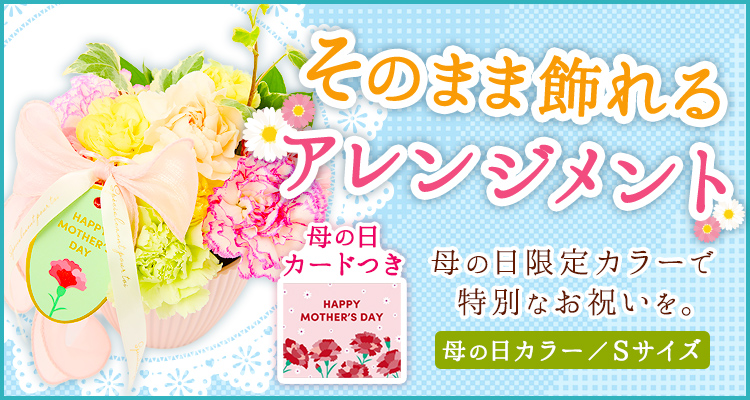 アレンジメント(母の日ver) Sサイズ