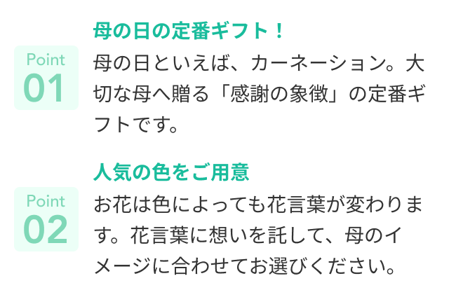 おすすめポイント