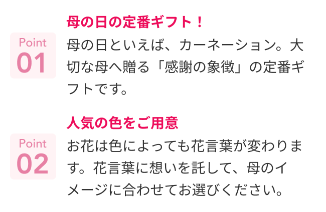 おすすめポイント