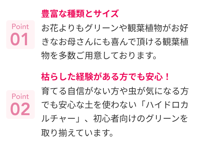 おすすめポイント