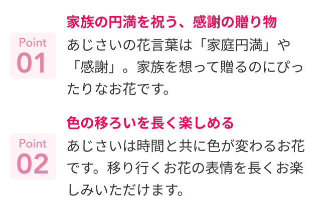 おすすめポイント