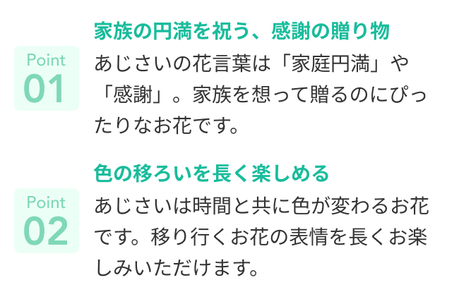 おすすめポイント