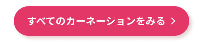 すべてのカーネーションをみる