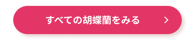 すべての胡蝶蘭をみる