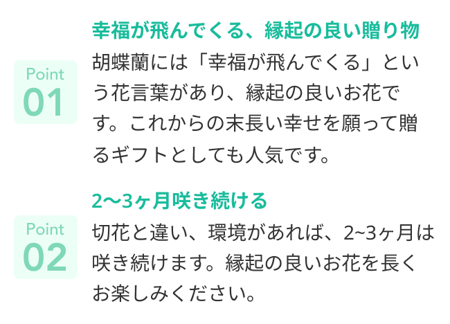 おすすめポイント