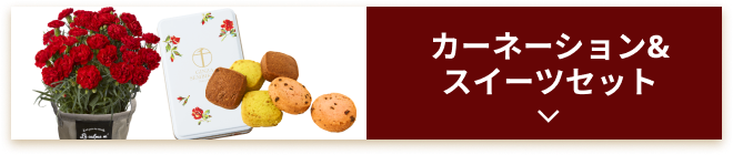 カーネーション＆スイーツセット