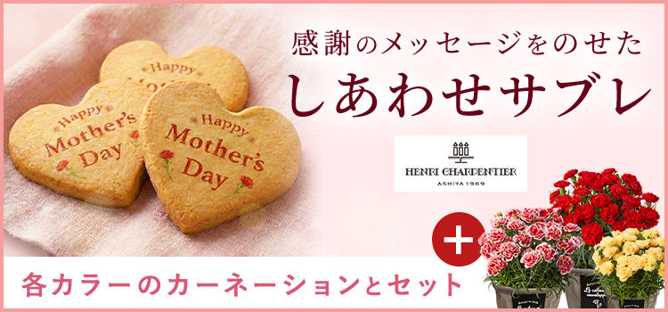 しあわせサブレセット