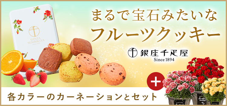 フルーツクッキーセット