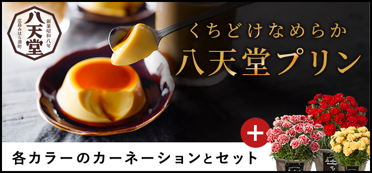 八天堂プリンセット