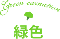 緑色のカーネーション