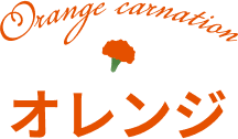 オレンジのカーネーション