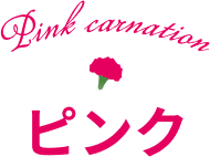 ピンクのカーネーション