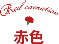 赤色のカーネーション