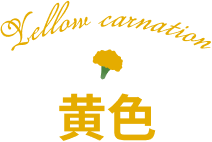 黄色のカーネーション