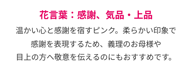 花言葉：感謝、気品・上品
