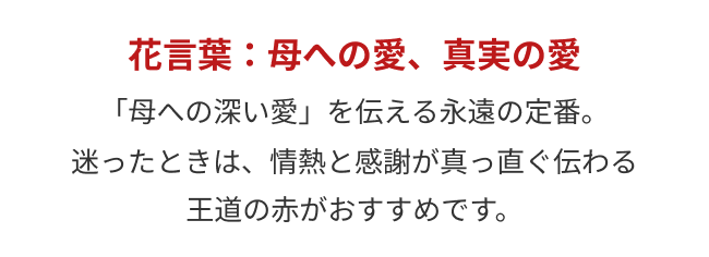 花言葉：母への愛、真実の愛