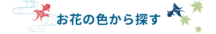 色で選ぶ