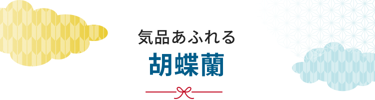 胡蝶蘭