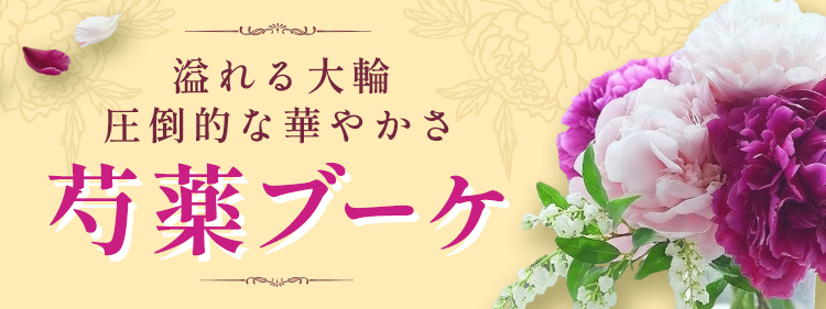 2026年4月限定商品